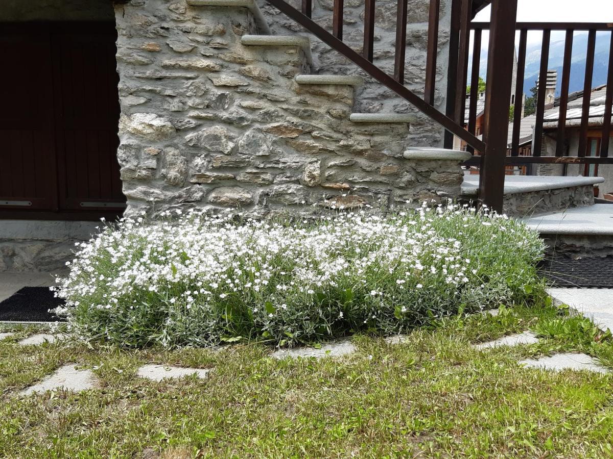 Sauze D'Oulx Ciabot La Garituela With Garden - Wifi- Close To The Chairlift エクステリア 写真